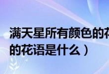 满天星所有颜色的花语寓意（满天星所有颜色的花语是什么）