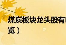煤炭板块龙头股有哪些（2022年煤炭股票一览）