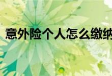 意外险个人怎么缴纳 意外险怎么交在哪里交