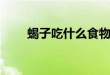 蝎子吃什么食物（蝎子吃什么食物）