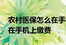 农村医保怎么在手机上面交费 农村医保怎么在手机上缴费