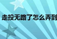 走投无路了怎么弄到五万（走投无路怎么办）