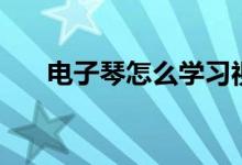 电子琴怎么学习视频（电子琴怎么学）