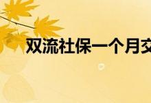 双流社保一个月交多少钱2022 费用表 