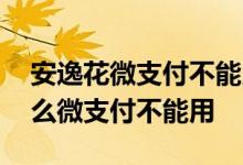 安逸花微支付不能用了吗 安逸花有额度为什么微支付不能用