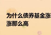 为什么债券基金涨得那么猛 为什么有的基金涨那么高