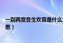 一别两宽各生欢喜是什么文案（一别两宽各生欢喜是什么意思）