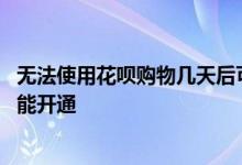 无法使用花呗购物几天后可以用 无法使用花呗购物要多久才能开通
