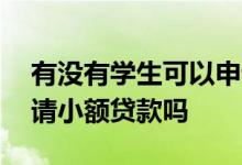 有没有学生可以申请的小额贷款 学生可以申请小额贷款吗
