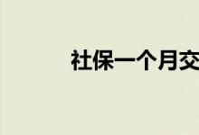 社保一个月交多少钱 哪里办理 