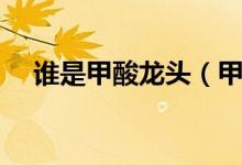谁是甲酸龙头（甲酸价格行情走势分析）