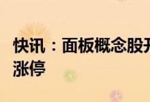快讯：面板概念股开盘走强创业板股易天股份涨停