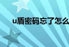 u盾密码忘了怎么找回（u盾密码忘了）