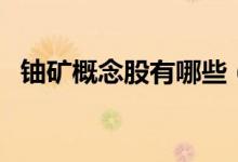 铀矿概念股有哪些（铀矿概念龙头股一览）