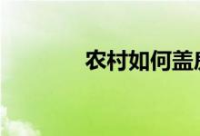  农村如何盖房子 遮风挡雨？ 