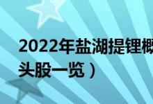 2022年盐湖提锂概念股有那些（盐湖提锂龙头股一览）