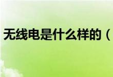 无线电是什么样的（无线电是什么（图文））