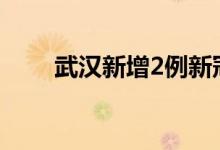 武汉新增2例新冠病毒无症状感染者