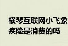 横琴互联网小飞象重疾险 横琴小飞象少儿重疾险是消费的吗