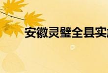安徽灵璧全县实施足不出户管控措施