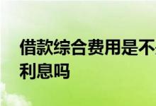 借款综合费用是不是服务费 借款综合费用是利息吗
