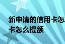 新申请的信用卡怎样查询额度 新申请的信用卡怎么提额