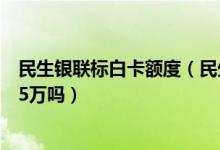 民生银联标白卡额度（民生银联标准白金信用卡批下都不低5万吗）