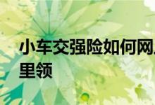 小车交强险如何网上购买 网上交强险标志哪里领
