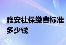 雅安社保缴费标准 2022年雅安社保个人要交多少钱 