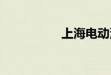  上海电动汽车购买条件 