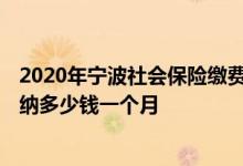 2020年宁波社会保险缴费标准多少 2022年宁波社保个人缴纳多少钱一个月 