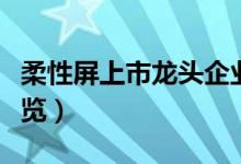 柔性屏上市龙头企业有哪些（柔性屏概念股一览）