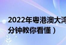 2022年粤港澳大湾区概念股票龙头名单（三分钟教你看懂）