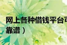 网上各种借钱平台可靠吗（网上哪个平台借钱靠谱）