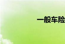 一般车险保哪些项目？