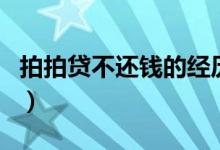 拍拍贷不还钱的经历（拍拍贷不还钱的人多吗）