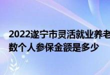 2022遂宁市灵活就业养老保险基数 2022年遂宁社保缴费基数个人参保金额是多少 