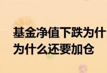 基金净值下跌为什么还有收益 基金净值下跌为什么还要加仓