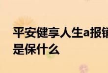 平安健享人生a报销范围细则 平安健享人生a是保什么