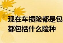 现在车损险都是包括哪几种险种 现在车损险都包括什么险种