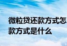 微粒贷还款方式怎么改成零钱方式 微粒贷还款方式是什么