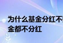 为什么基金分红不赚钱反而赔钱了 为什么基金都不分红