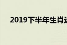 2019下半年生肖运势（2019下款口子）