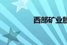 西部矿业股票值得持有吗