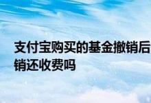 支付宝购买的基金撤销后会产生费用吗? 支付宝基金买入撤销还收费吗