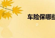 车险保哪些，要买必要的