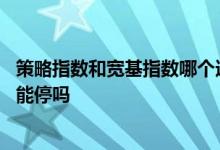 策略指数和宽基指数哪个适合定投 定投宽基指数基金时中间能停吗