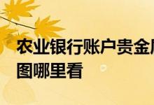 农业银行账户贵金属k线图 农行账户金银K线图哪里看