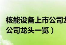 核能设备上市公司龙头有哪些（核能设备上市公司龙头一览）