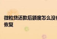 微粒贷还款后额度怎么没有恢复 微粒贷为什么还款后额度不恢复